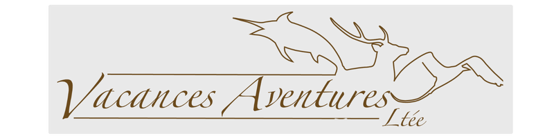 Vacances Aventures Logo