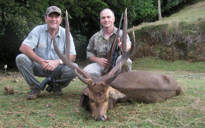 deer-hunting-mauritius deer-hunting-mauritius